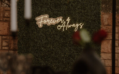 Backdrop and Décor Hub