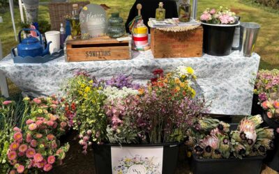 Wildflower Wonders